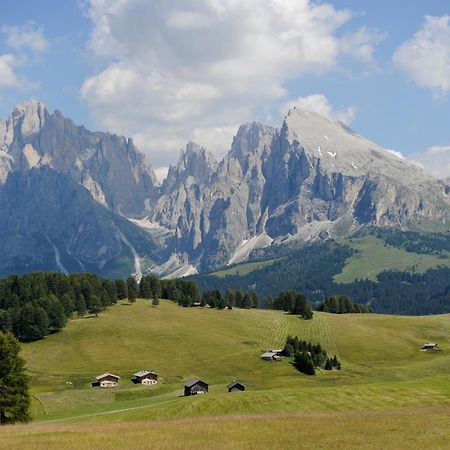 Naturresidence Dolomitenhof 修希 外观 照片